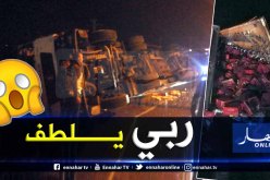 عنابة : 3 جرحى في إنقلاب شاحنة لنقل الحليب