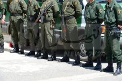 حجز 329 قنطار ذرة و650 وحدة خمر بمعسكر