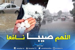 بالفيديو والصور.. أمطار رعدية مصحوبة بحبات البرد في الشلف