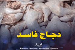 الشلف: حجز 89 كلغ من الدجاج الفاسد بأولاد فارس