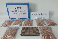 أم البواقي: توقيف امرأة تصنع وتتاجر في الذخيرة وحجز أكثر من 7200 كبسولة خراطيش