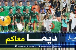 بالصور.. الجماهير الجزائرية تلبي نداء الخضر