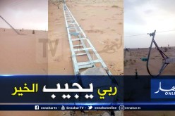 أدرار .. رياح قوية تتسبب في سقوط الأعمدة وانقطاع الكهرباء بتنركوك