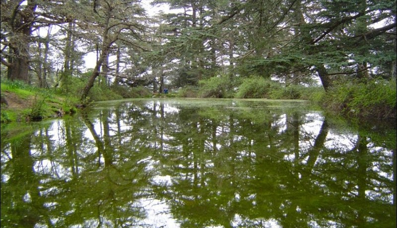 تيسمسيلت: البحث عن طفل مفقود من ثنية الحد