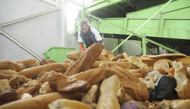 تراجع ظاهرة تبذير الخبز بسبب الحجر الصحي