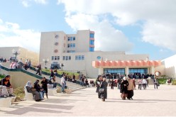 الماستر عبر السكايب في 5 جامعات قريبا