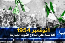 لاعبو الخضر: “المجد والخلود لشهدائنا الأبرار”
