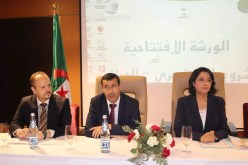 زرواطي تطلق برنامجا تحضيريا لاستقطاب التمويل الخارجي