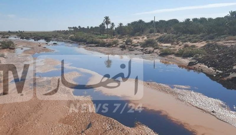 لجنة وزارية لمعاينة أبار السقي والأراضي الزراعية المتضررة من تسرب النفط بالوادي
