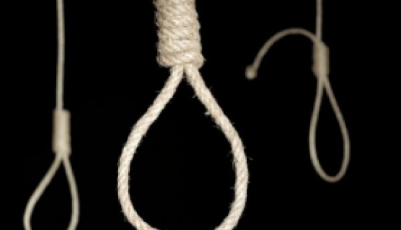 العثور على طفل مشنوق تحت شجرة في تلمسان