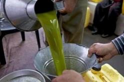 زيت الزيتون..الجزائر تحصد ميدالية ذهبية في المسابقة الدولية باليونان