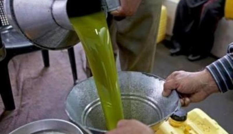 زيت الزيتون..الجزائر تحصد ميدالية ذهبية في المسابقة الدولية باليونان