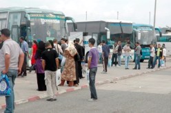 التأكيد بوهران على إشراك جميع الأطراف لتطوير قطاع النقل البري للمسافرين والبضائع