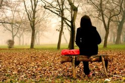 كلهم على ضلال.. فهل أهجر البيت ليرتاح البال؟!