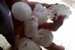 بالفيديو والصور تساقط  كميات كبيرة من حبات البرد بالعذاورة في المدية