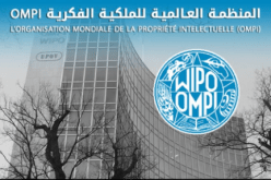 الجزائر تحتضن أوّل مكتب إفريقي للمنظمة العالمية للملكية الفكرية