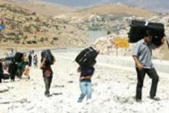 اعتقال 148 مهاجرا غير شرعي في تركيا