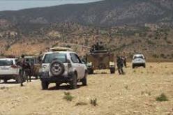 الجيش التونسي يقتل مسلحين قرب الحدود مع الجزائر