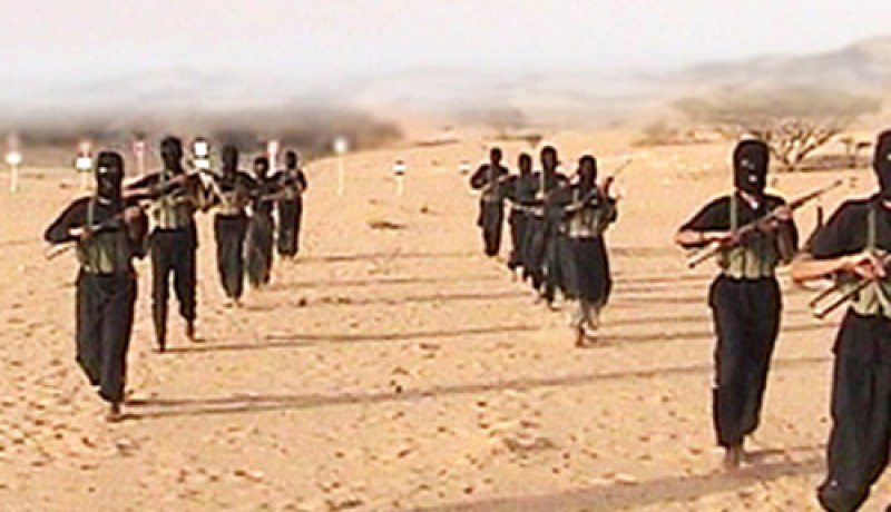 مشرع أمريكي يقول إن تهديد القاعدة هو الأخطر منذ سنوات