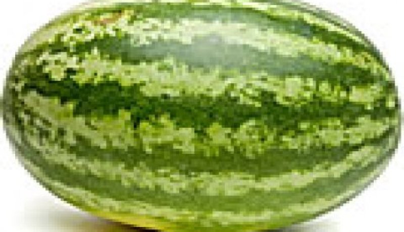 تسمم‮ ‬9‮ ‬أفراد بـ”الدلاع‮” ‬في‮ ‬تيزي‮ ‬نبراهم شمال سطيف