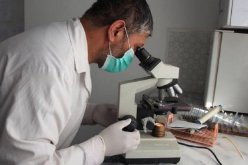 علماء صينيون يحققون إختراقا علميا في مواجهة الإيبولا