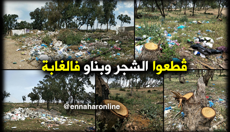 مجهولون يشيّدون مساكن بغابة “الجبل الأسود” بدون قرارات البناء في وهران