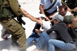 قوات الاحتلال الإسرائيلي يعتقل 4 فلسطينيين في الضفة الغربية