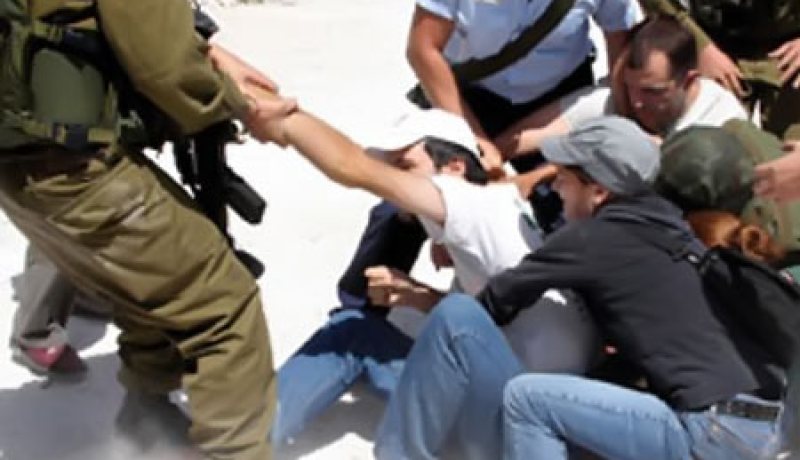 قوات الاحتلال تعتقل 13 فلسطينيا بالضفة الغربية