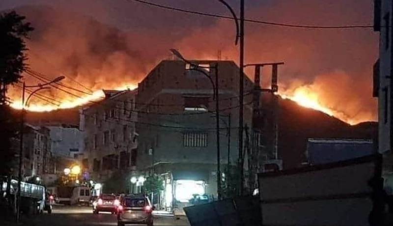 تيزي وزو..حريق مهول في غابة ببلدية إيفرحونن