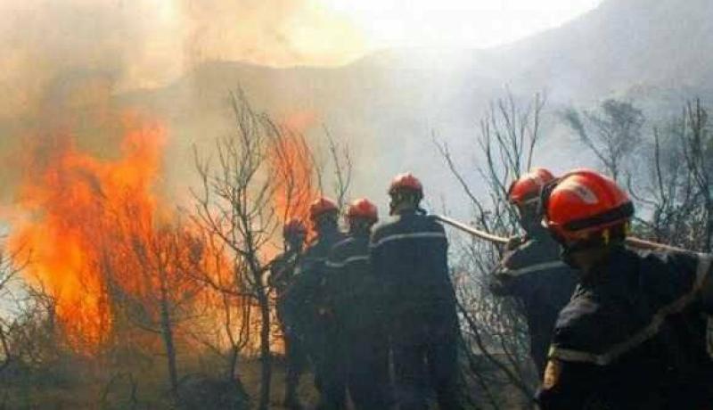 تبسة..إخماد حريق بغابة حلفاء بجبل بولحاف الدير