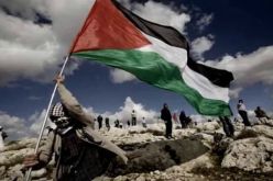 إحياء اليوم العالمي للتضامن مع الشعب الفلسطيني