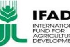 الزراعات الصغيرة محور الدورة الـ 35 لمجلس محافظي الصندوق الدولي للتنمية الريفية غدا بروما