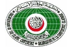 منظمة التعاون الإسلامي تؤكد رفضها لأي حركة انفصالية في مالي