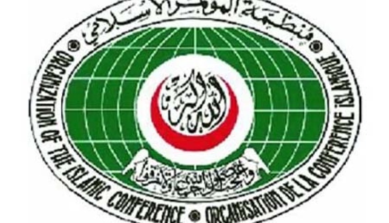 منظمة التعاون الإسلامي تؤكد رفضها لأي حركة انفصالية في مالي