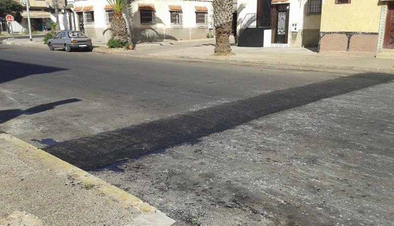 نهاية كابوس «الدودانات» بالمناطق العمرانية