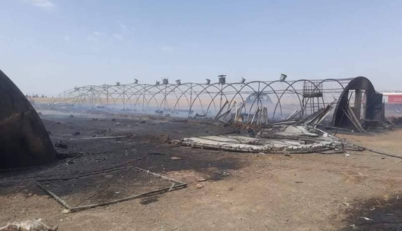 سطيف.. احتراق 4 بيوت بلاستيكية يخلف نفوق 850 ديك رومي و4900 كتكوت