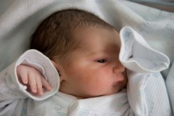 احتراق 7 مواليد جدد في حريق بجناح حديثي الولادة الوادي
