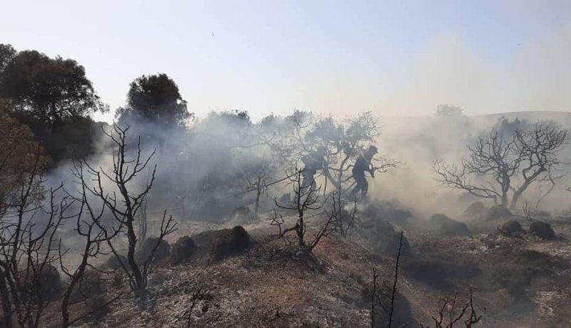 الحماية المدنية تُسجل أعلى حصيلة يومية للحرائق منذ بداية الصيف