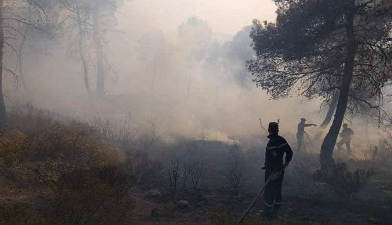 تيسمسيلت..حريق في غابة ببلدية الازهرية