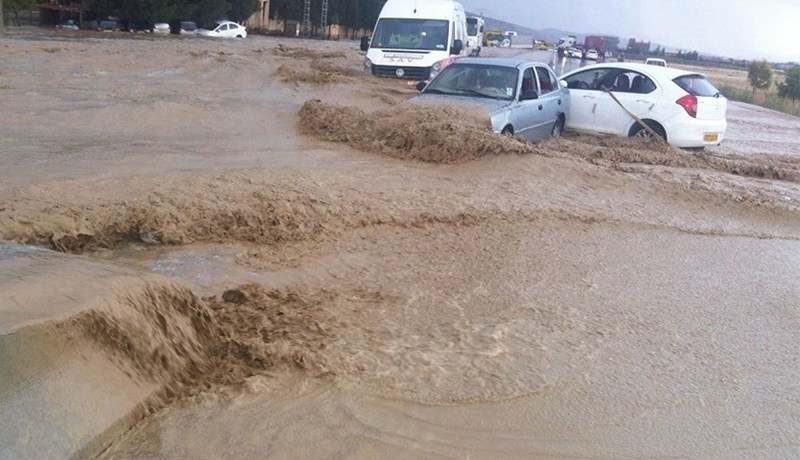 الأمطار والسيول تجرف رؤوس الماشية وتتلف المحاصيـل الزراعية بالشرق
