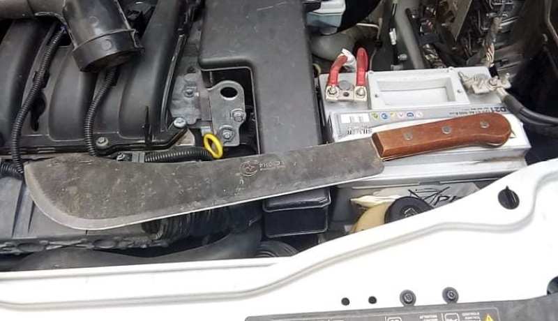 الطارف.. توقيف شخصين وحجز مخدرات صلبة وأسلحة بيضاء