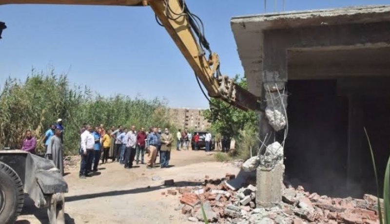هلاك سبعيني إثر سقوطه من شجرة في الشلف