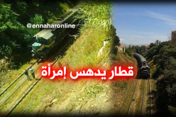 بالصور: قطار يدهس إمرأة في الشلف