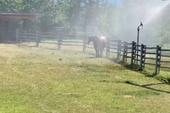 موجة حر غير مسبوقة تقتل المئات في كندا