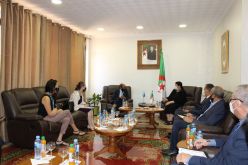 وزيرة التكوين تبحث سبل التعاون مع ممثل منظمة اليونيسف بالجزائر