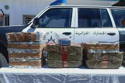 حجز قرابة نصف قنطار زطلة في تلمسان