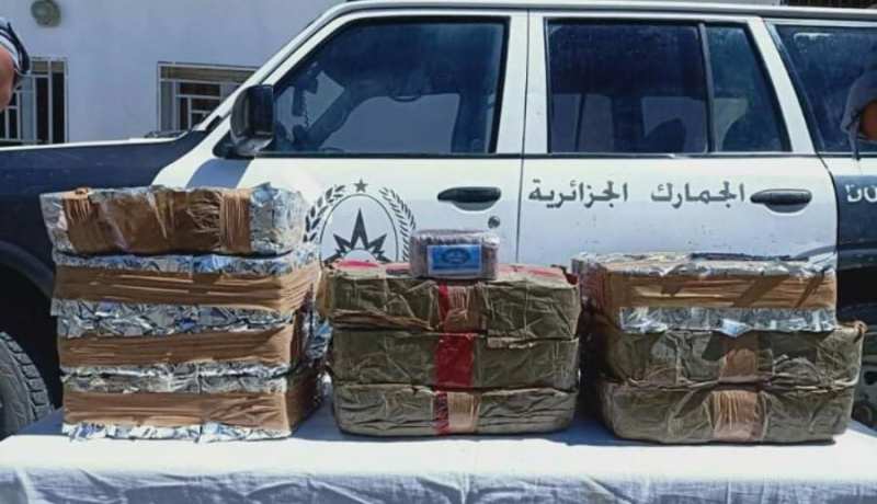 حجز قرابة نصف قنطار زطلة في تلمسان