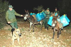 حجز نحو 11.000 لتر من الوقود و90 قنطارا من المواد الغذائية ببشار