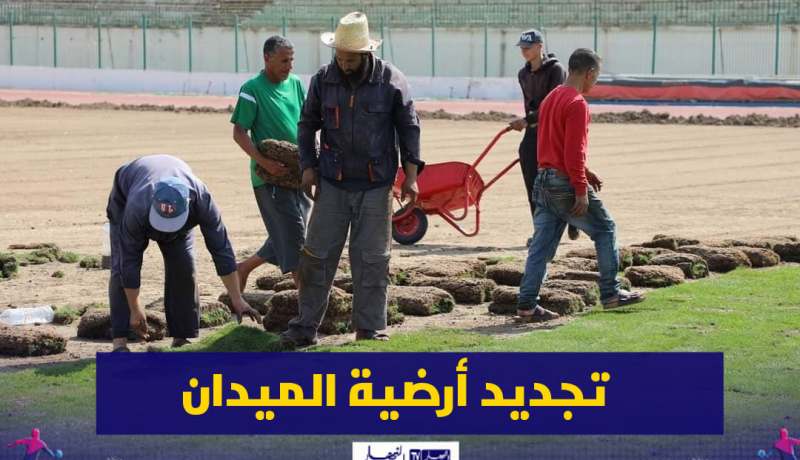 بالصور.. نقل العشب الطبيعي من سيدي موسى إلى مركز خميس مليانة