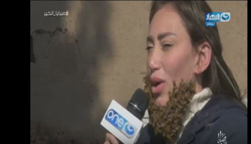 بالفيديو لحظة هجوم سرب من النّحل على وجه الإعلامية ريهام سعيد